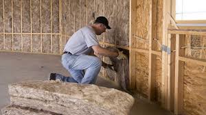 Best Basement Insulation  in Knoxville, IA